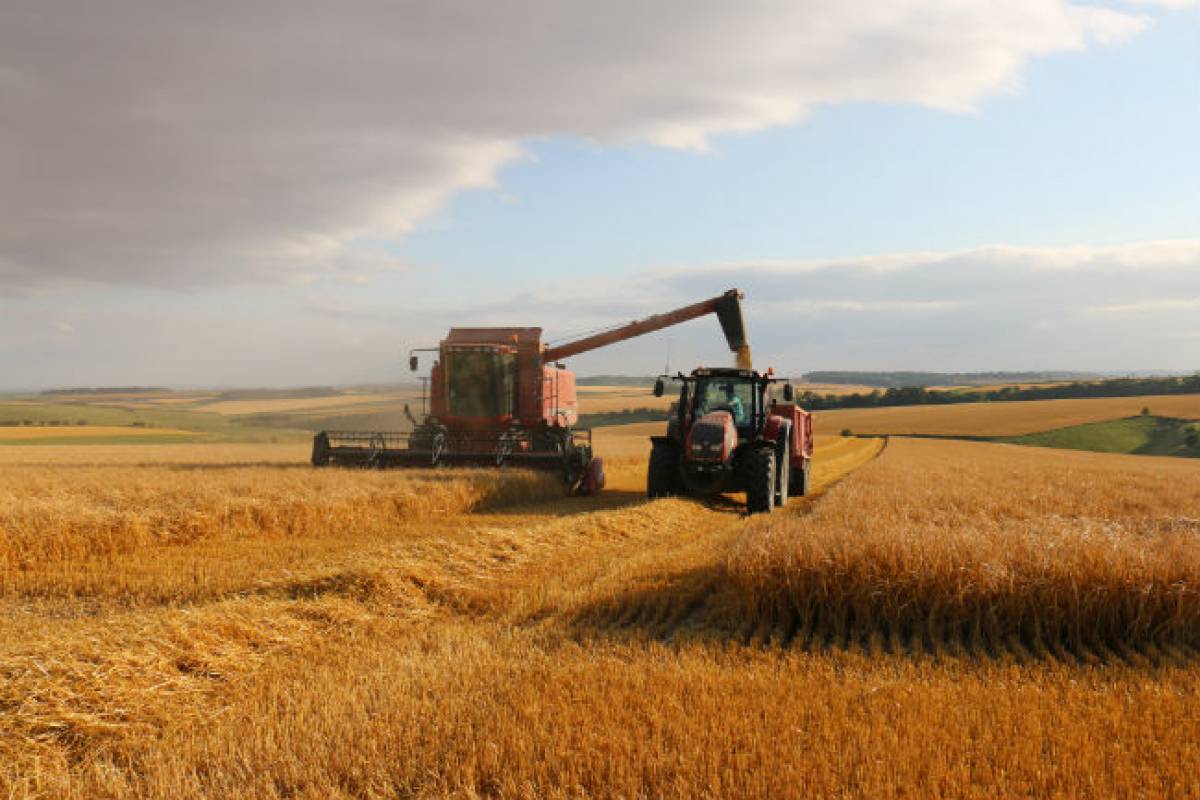 10 fascinating facts, figures and traditions around harvest time