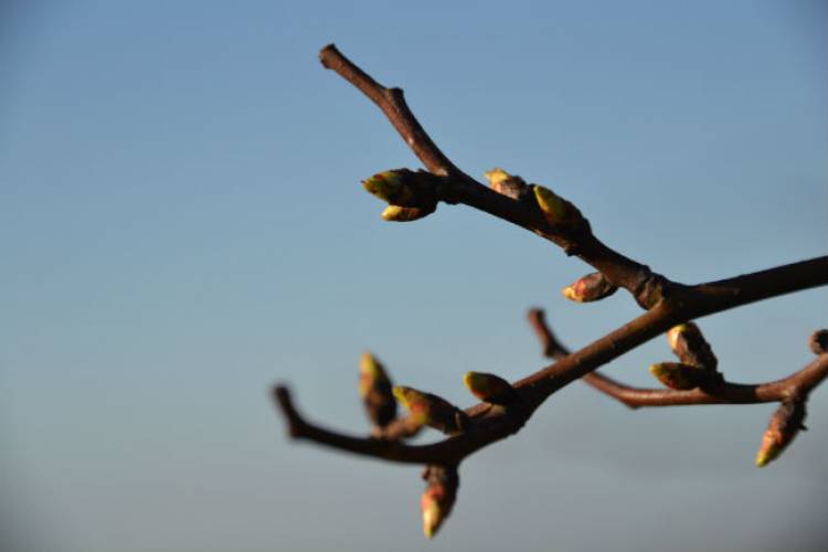 More signs of life on the farm