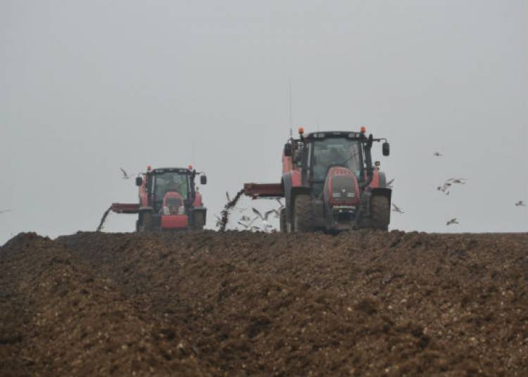 Work continues on the farm…