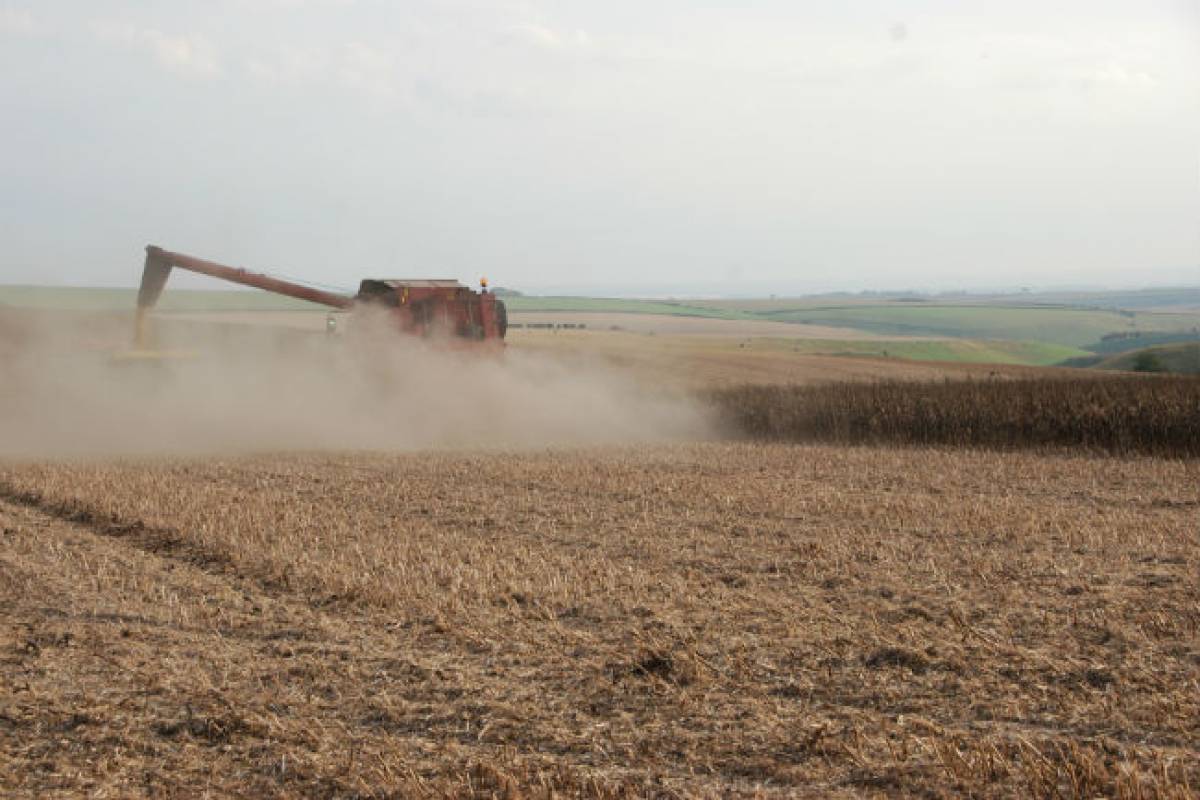 Last of the combinable crops