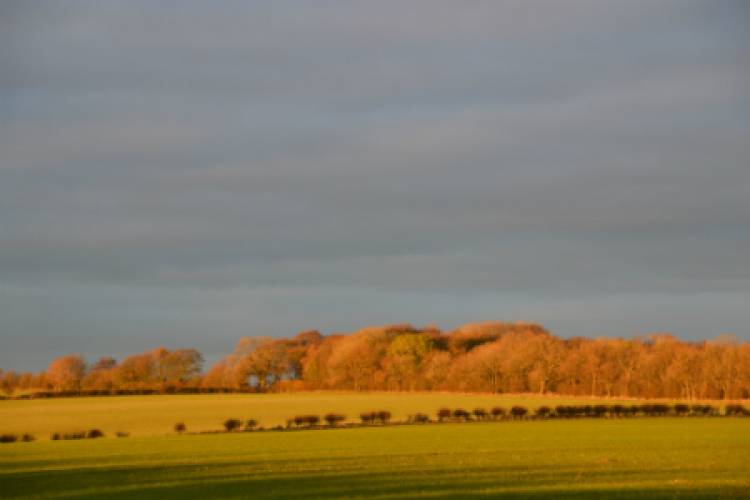 It’s autumn, only more autumn-y