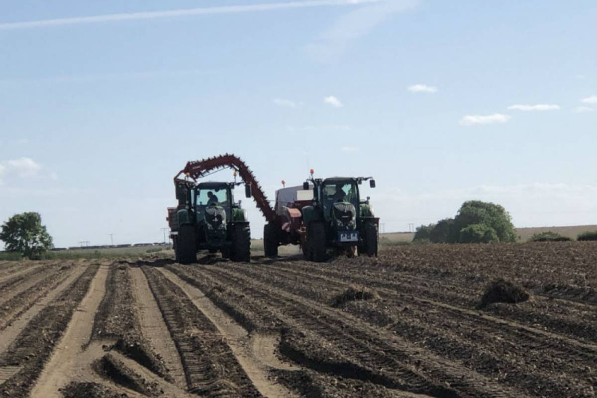 The UK Potato Market – A Farmer’s View – November 2019