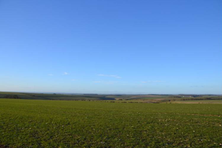 Spring is finally springing!